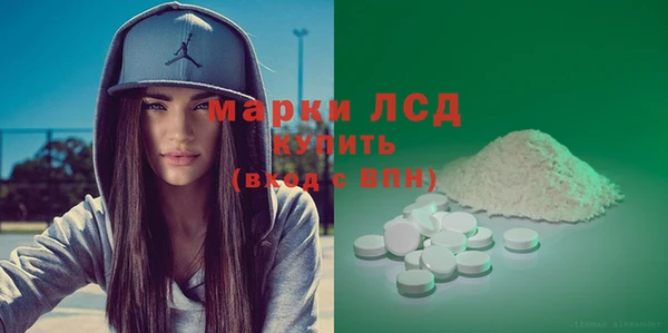 хмурый Белокуриха