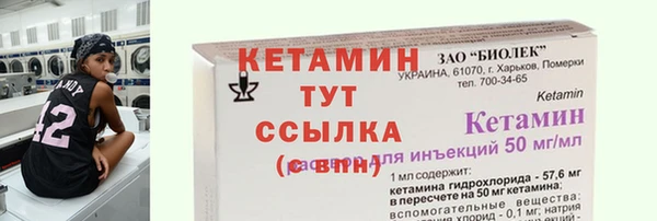 хмурый Белокуриха