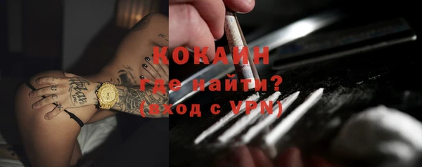 хмурый Белокуриха