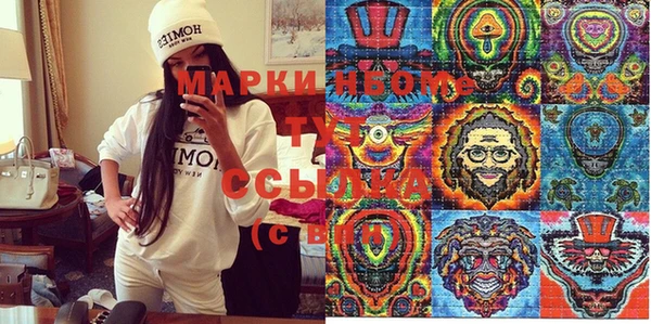 хмурый Белокуриха